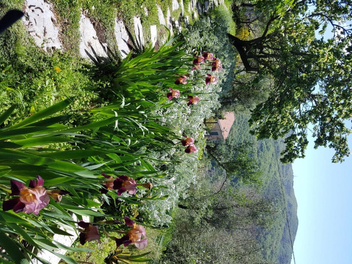Pietrantica - Affittacamere Con Giardino Nuova Apertura A Trebiano -Citr Exterior foto