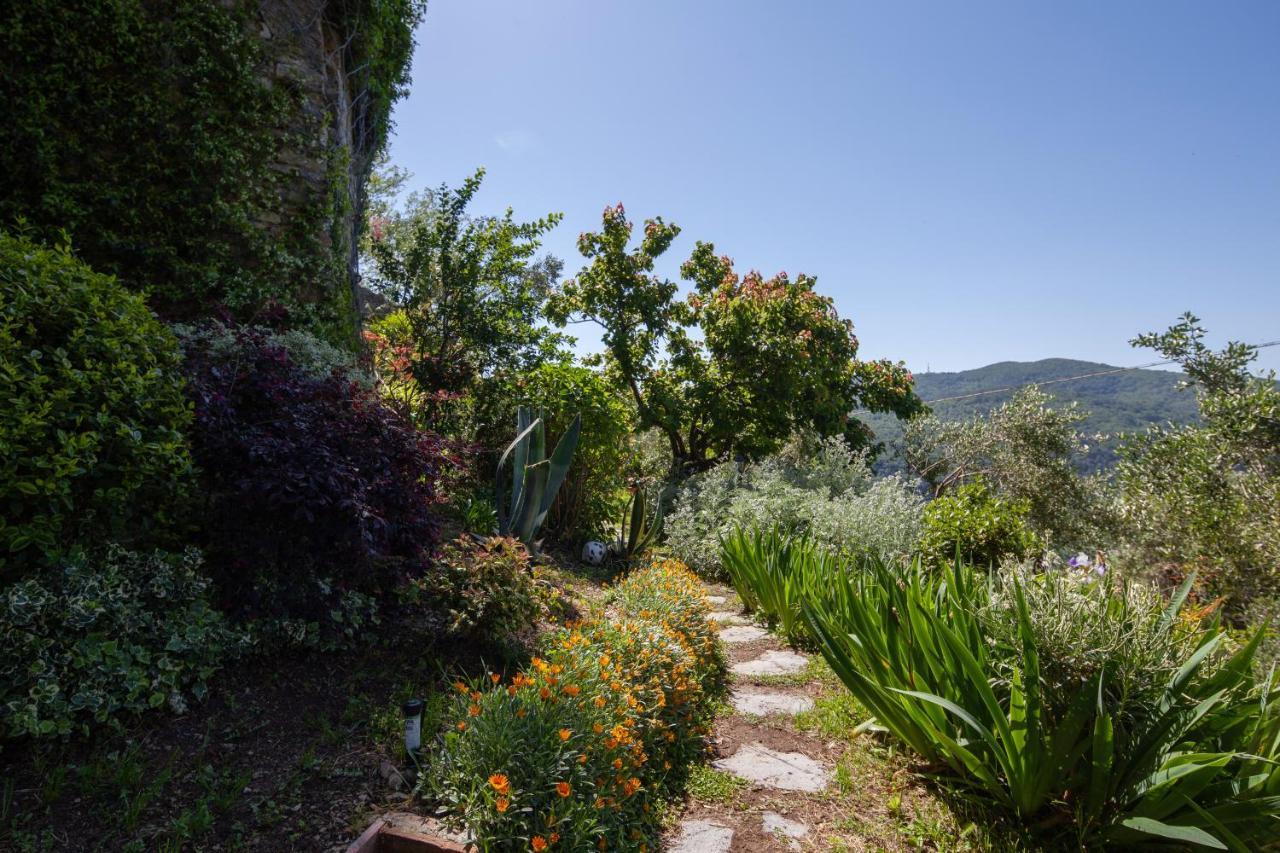 Pietrantica - Affittacamere Con Giardino Nuova Apertura A Trebiano -Citr Exterior foto