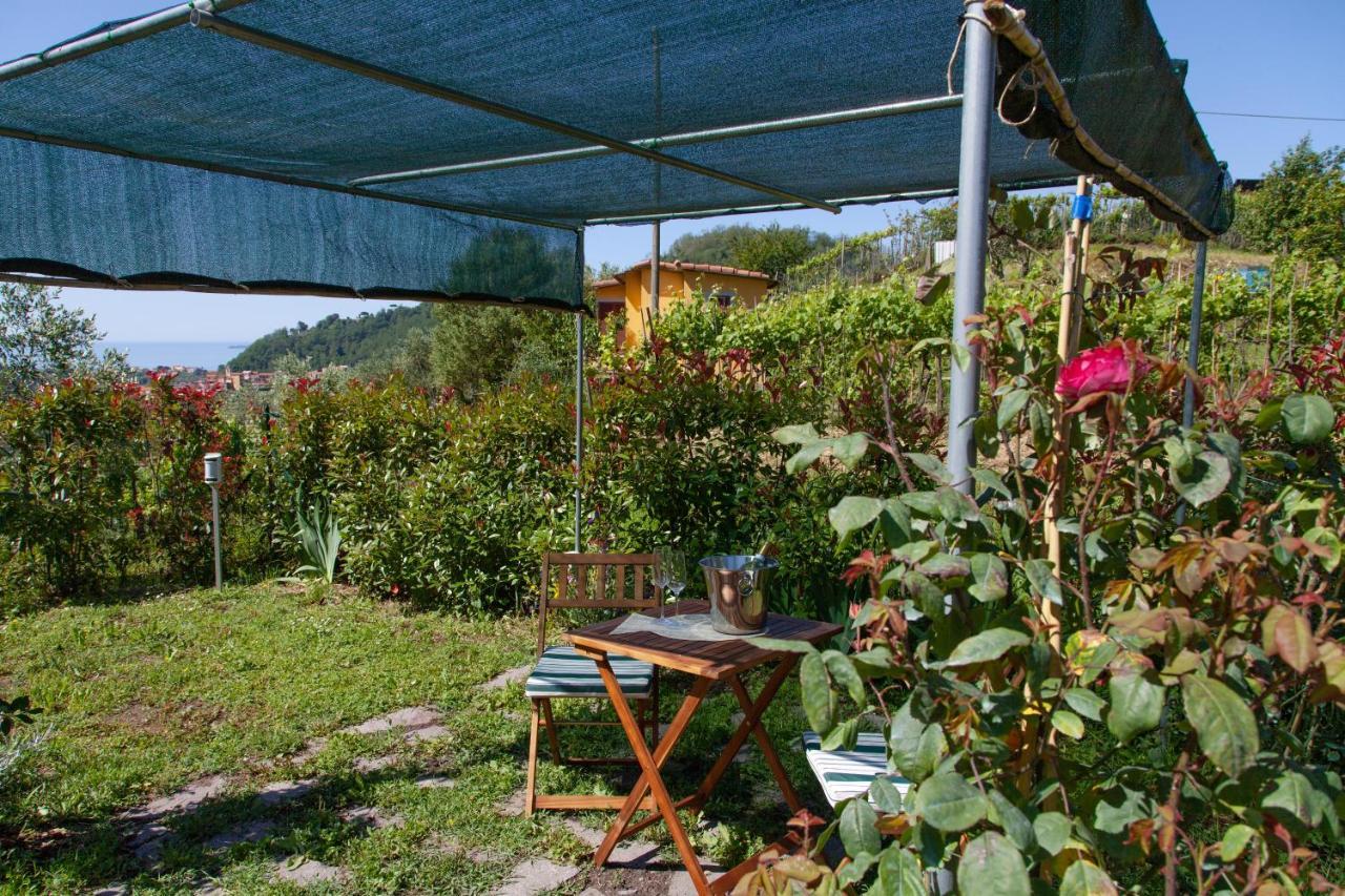 Pietrantica - Affittacamere Con Giardino Nuova Apertura A Trebiano -Citr Exterior foto